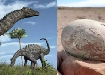 मध्यप्रदेश में जिसे कुलदेवता मानकर करते रहे पूजा, वो निकला डायनासोर का अंडा