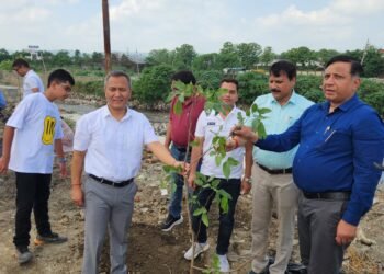 हरेला पर मुख्यमंत्री धामी के विजन को एमडीडीए ने धरातल पर उतारा, शहर में किया गया वृहद पौधरोपण