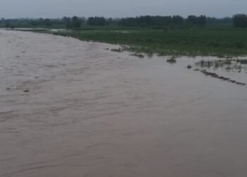 उत्तराखंड में भारी बारिश के अलर्ट के बाद तबाही का आलम भी दिखने लगा है