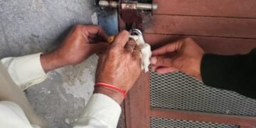 अवैध निर्माणों पर एमडीडीए की सख्त कार्रवाई, दो व्यवसायिक निर्माण सील