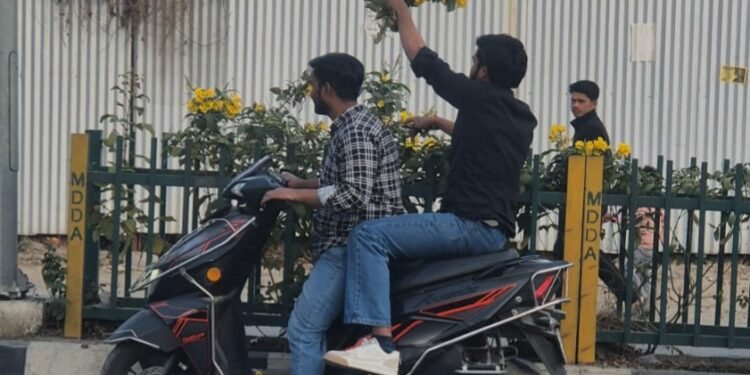 शहर की सुंदरता से खिलवाड़ बर्दाश्त नहीं