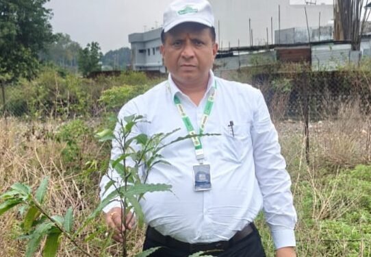 हरित दून के सपने को जमीन पर उतार रहा एमडीडीए, विश्व पर्यावरण दिवस पर 300 पौधों का महाअभियान
