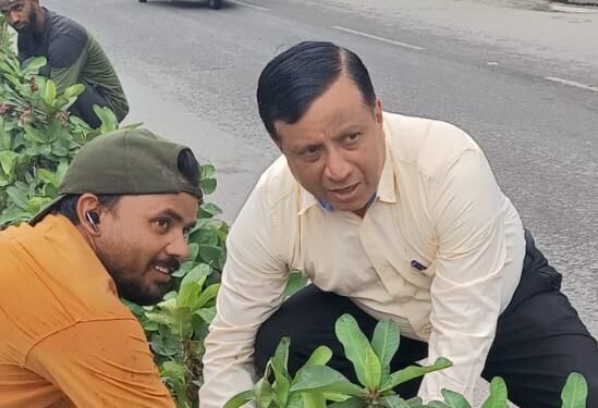 सीएम पुष्कर सिंह धामी के विजन को मिली रफ्तार, बंशीधर तिवारी के नेतृत्व में हरा-भरा हो रहा दून