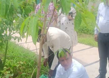 सीएम धामी के विजन को धरातल पर उतार रहा एमडीडीए