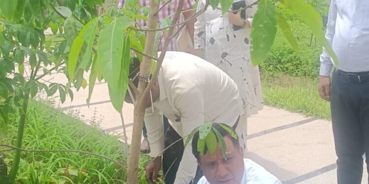 सीएम धामी के विजन को धरातल पर उतार रहा एमडीडीए