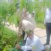 सीएम धामी के विजन को धरातल पर उतार रहा एमडीडीए